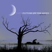 Picture of the Moon - new song online! profile picture