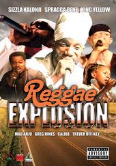 REGGAE EXPLOSION profile picture