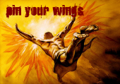 Pin Your Wings profile picture