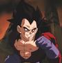 Vegeta profile picture