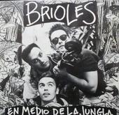 Los Brioles profile picture