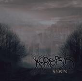 Koreopsis (RESIN out now!!!) profile picture