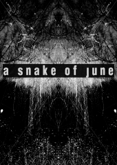 A SNAKE OF JUNE profile picture