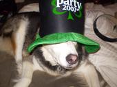 partymolly