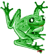 Imaginary Frogs profile picture