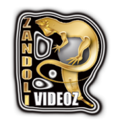 Zandoli Videoz 2008 profile picture