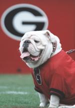 UGA & Hairy Dawg profile picture