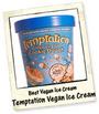 TEMPTATION Vegan Ice Cream profile picture