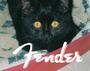 Fender profile picture