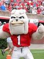 UGA & Hairy Dawg profile picture