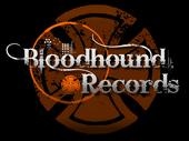 Bloodhound Records profile picture