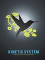 Kinetic System profile picture