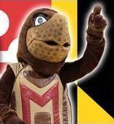 Testudo profile picture