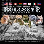 bullseyekennels