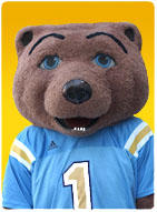 . The Bruin . profile picture