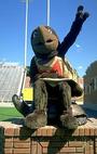 Testudo profile picture