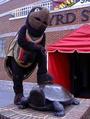 Testudo profile picture