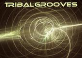 TRIBALGROOVES profile picture