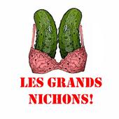 Les Grands Nichons profile picture