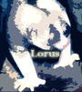 Lorus profile picture