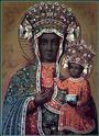 Black Madonna Rose profile picture