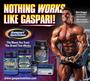 Home To The Hardcore Gaspari Nutrition Blue Team profile picture