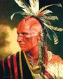 Woodland Indian Wars profile picture