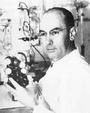 Dr. Albert Hofmann profile picture