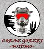 Coraz Gorzej - WIDMO (Worst and Worst - SPECTRUM) profile picture