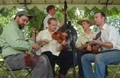 Foghorn Stringband profile picture