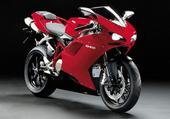 Ducatisti profile picture