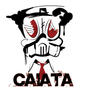 CAIATA profile picture