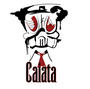 CAIATA profile picture