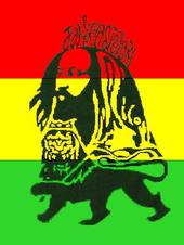 dread lion profile picture