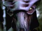 Â© Species 8472 profile picture