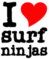 Surf Ninjas Crew profile picture