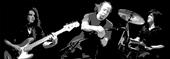 Adrian Belew Power Trio profile picture