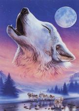 áƒ¦à®Æ¸ÌµÌ¡ÓœÌµÌ¨Ì„Æ· â™« Song of the Wolf â™« Æ¸ profile picture