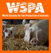 WSPA United Kingdom profile picture