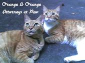 orange_orange