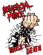 Demencial Force (!!IN RECORDING!!) profile picture