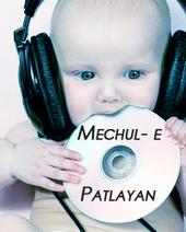 Mechul-e Patlayan profile picture