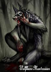 †King Wolfbane Montressor† profile picture