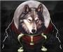 |(:::Wolf:::)| profile picture