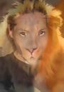 ...little lioness... profile picture