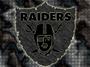 Raider Nation 951 profile picture