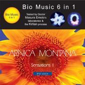 Arnica Montana profile picture