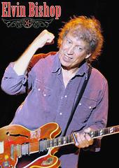 Elvin Bishop profile picture