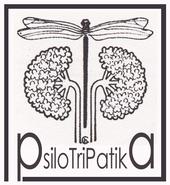 psilotripatika profile picture