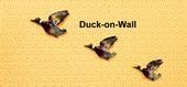 Duck-on-Wall profile picture